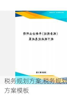 税务规划方案,税务规划方案模板-第2张图片-安安范文网