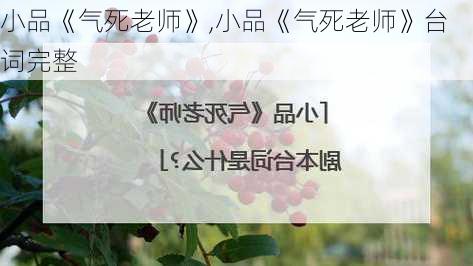 小品《气死老师》,小品《气死老师》台词完整-第1张图片-安安范文网