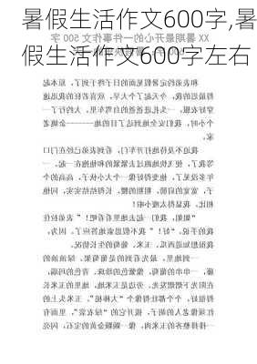 暑假生活作文600字,暑假生活作文600字左右-第1张图片-安安范文网