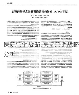 医院营销战略,医院营销战略分析-第1张图片-安安范文网