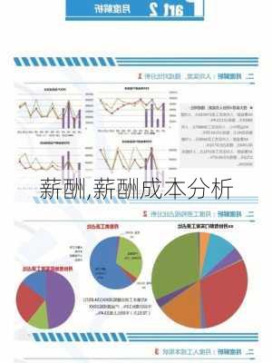 薪酬,薪酬成本分析-第1张图片-安安范文网