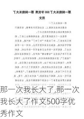 那一次我长大了,那一次我长大了作文500字优秀作文-第3张图片-安安范文网