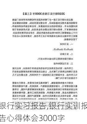 银行实习报告,银行实训报告心得体会3000字-第2张图片-安安范文网