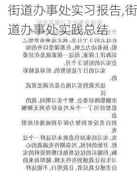 街道办事处实习报告,街道办事处实践总结-第1张图片-安安范文网