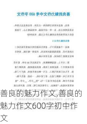 善良的魅力作文,善良的魅力作文600字初中作文-第1张图片-安安范文网