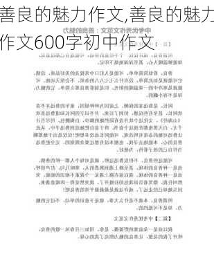 善良的魅力作文,善良的魅力作文600字初中作文-第2张图片-安安范文网