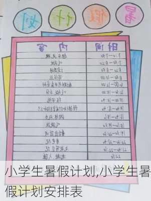 小学生暑假计划,小学生暑假计划安排表-第3张图片-安安范文网