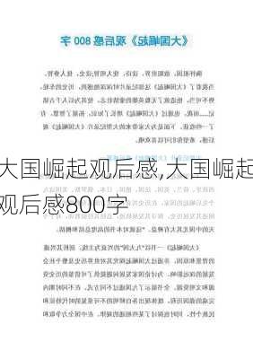 大国崛起观后感,大国崛起观后感800字-第3张图片-安安范文网