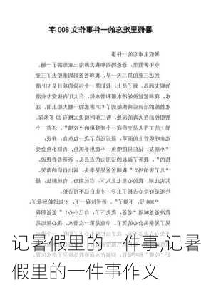 记暑假里的一件事,记暑假里的一件事作文-第3张图片-安安范文网