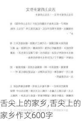 舌尖上的家乡,舌尖上的家乡作文600字-第1张图片-安安范文网