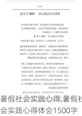 暑假社会实践心得,暑假社会实践心得体会1500字-第1张图片-安安范文网