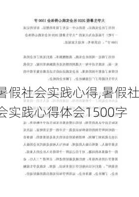 暑假社会实践心得,暑假社会实践心得体会1500字-第3张图片-安安范文网