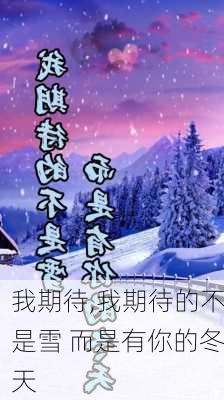 我期待,我期待的不是雪 而是有你的冬天-第3张图片-安安范文网