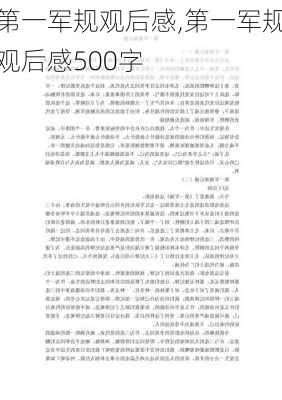 第一军规观后感,第一军规观后感500字-第1张图片-安安范文网