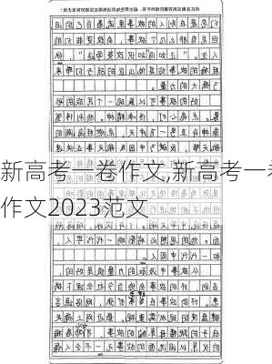 新高考一卷作文,新高考一卷作文2023范文-第2张图片-安安范文网