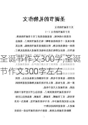 圣诞节作文300字,圣诞节作文300字左右-第2张图片-安安范文网