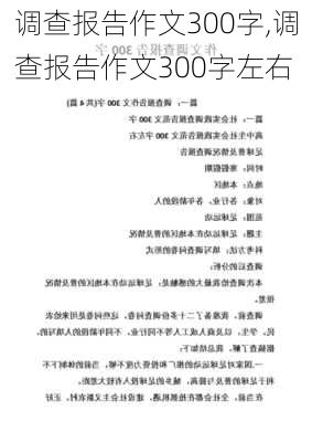 调查报告作文300字,调查报告作文300字左右-第2张图片-安安范文网