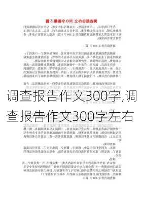 调查报告作文300字,调查报告作文300字左右-第3张图片-安安范文网