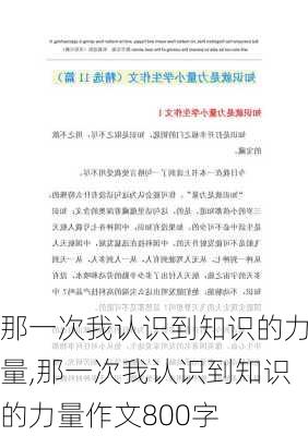 那一次我认识到知识的力量,那一次我认识到知识的力量作文800字-第3张图片-安安范文网