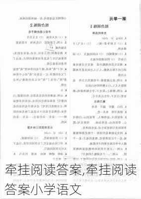 牵挂阅读答案,牵挂阅读答案小学语文-第2张图片-安安范文网