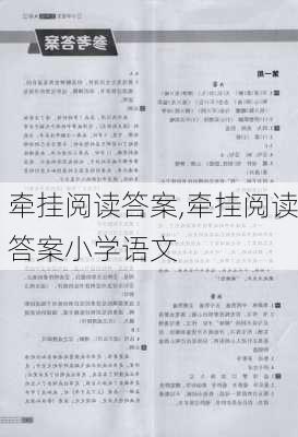 牵挂阅读答案,牵挂阅读答案小学语文-第3张图片-安安范文网