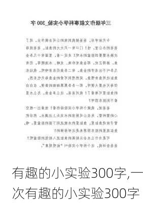 有趣的小实验300字,一次有趣的小实验300字-第2张图片-安安范文网