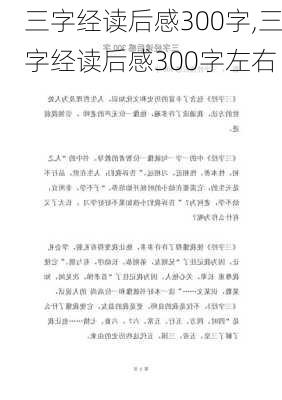 三字经读后感300字,三字经读后感300字左右-第1张图片-安安范文网