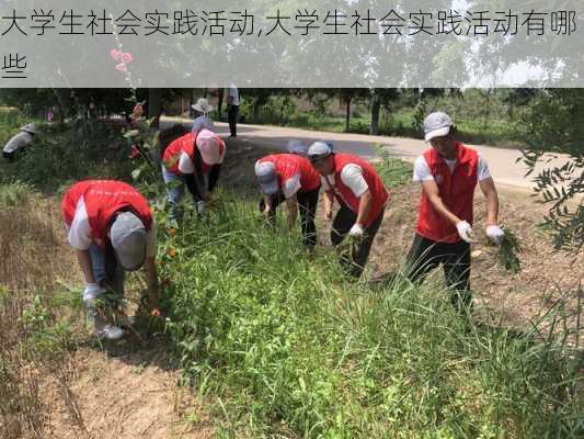 大学生社会实践活动,大学生社会实践活动有哪些-第1张图片-安安范文网