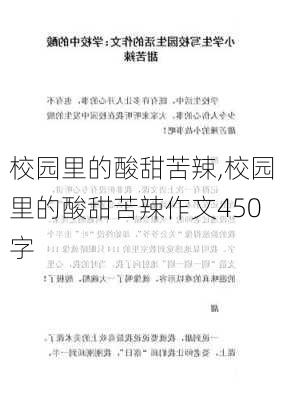 校园里的酸甜苦辣,校园里的酸甜苦辣作文450字-第1张图片-安安范文网