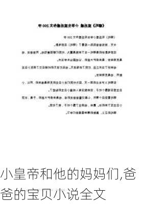 小皇帝和他的妈妈们,爸爸的宝贝小说全文-第1张图片-安安范文网