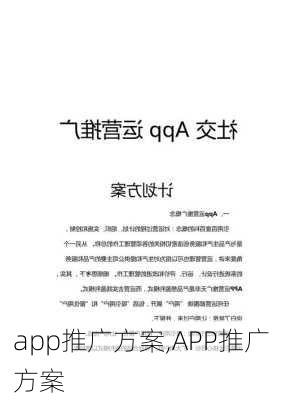 app推广方案,APP推广方案-第3张图片-安安范文网