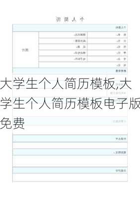 大学生个人简历模板,大学生个人简历模板电子版免费-第3张图片-安安范文网