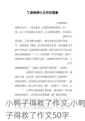 小鸭子得救了作文,小鸭子得救了作文50字-第1张图片-安安范文网