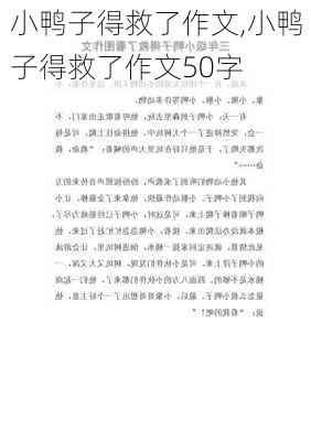 小鸭子得救了作文,小鸭子得救了作文50字-第2张图片-安安范文网