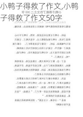 小鸭子得救了作文,小鸭子得救了作文50字-第3张图片-安安范文网