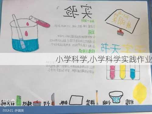 小学科学,小学科学实践作业-第3张图片-安安范文网