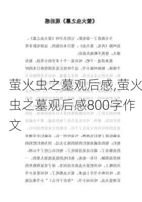 萤火虫之墓观后感,萤火虫之墓观后感800字作文