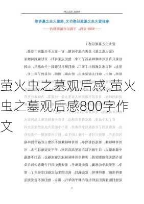 萤火虫之墓观后感,萤火虫之墓观后感800字作文-第2张图片-安安范文网