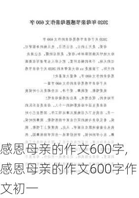 感恩母亲的作文600字,感恩母亲的作文600字作文初一-第3张图片-安安范文网