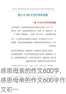 感恩母亲的作文600字,感恩母亲的作文600字作文初一-第2张图片-安安范文网