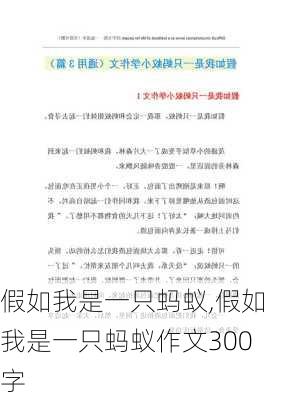 假如我是一只蚂蚁,假如我是一只蚂蚁作文300字-第1张图片-安安范文网