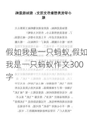 假如我是一只蚂蚁,假如我是一只蚂蚁作文300字-第3张图片-安安范文网