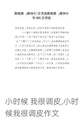 小时候 我很调皮,小时候我很调皮作文-第1张图片-安安范文网