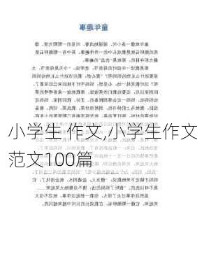 小学生 作文,小学生作文范文100篇-第1张图片-安安范文网