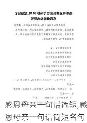 感恩母亲一句话简短,感恩母亲一句话简短名句-第1张图片-安安范文网