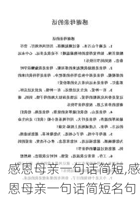 感恩母亲一句话简短,感恩母亲一句话简短名句-第3张图片-安安范文网