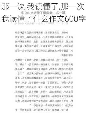 那一次 我读懂了,那一次我读懂了什么作文600字-第1张图片-安安范文网