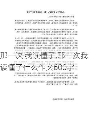 那一次 我读懂了,那一次我读懂了什么作文600字-第3张图片-安安范文网