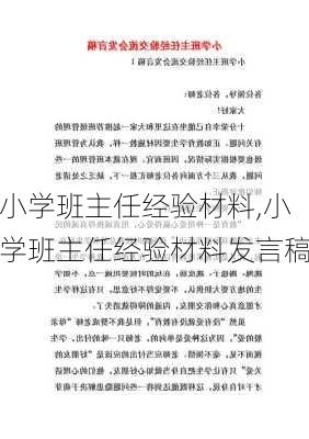 小学班主任经验材料,小学班主任经验材料发言稿-第2张图片-安安范文网