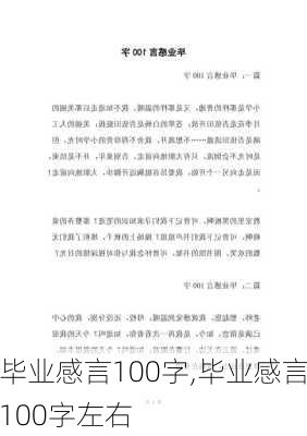 毕业感言100字,毕业感言100字左右-第3张图片-安安范文网